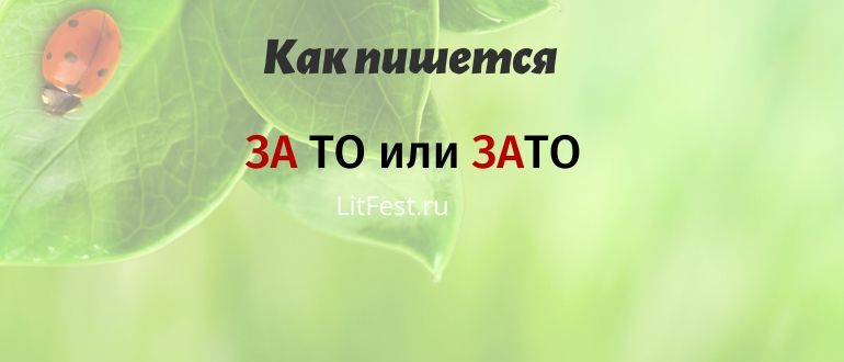 «За то» или «зато» — когда писать слитно, когда раздельно
