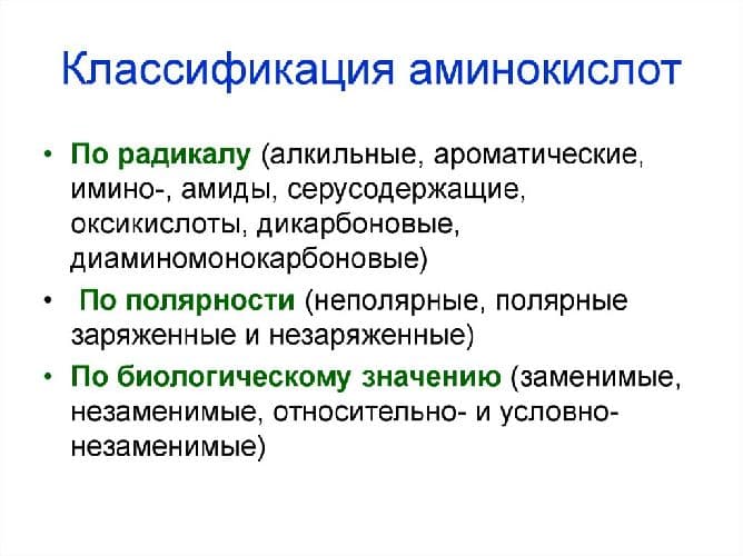 Заменимые и незаменимые аминокислоты в таблице