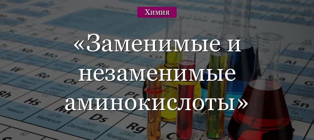 Заменимые и незаменимые аминокислоты в таблице
