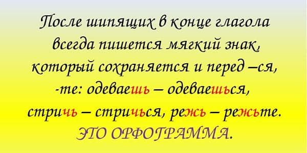 «Занимаешься» или «занимаешся», как пишется правильно?