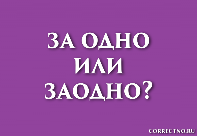Заодно или за одно: как правильно пишется слово?