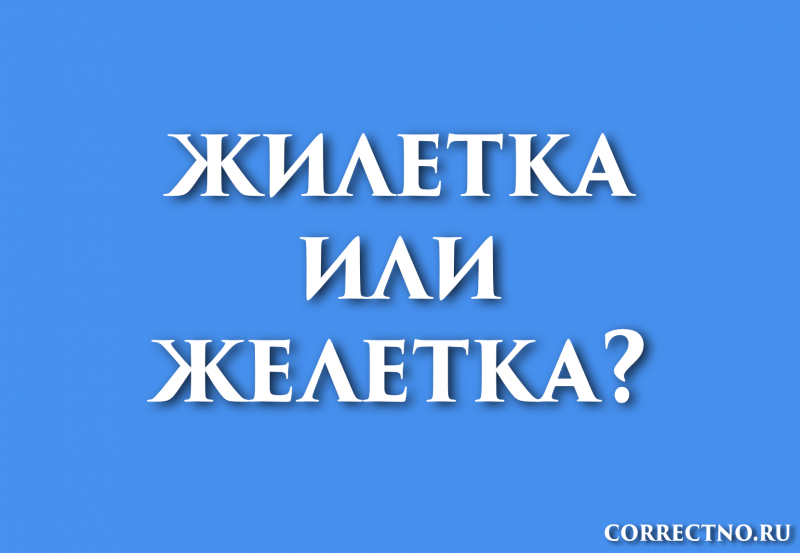 Жилетка, желетка или жилет: как правильно пишется слово?
