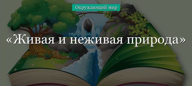 Живая и неживая природа (1 класс, окружающий мир) – примеры и особенности