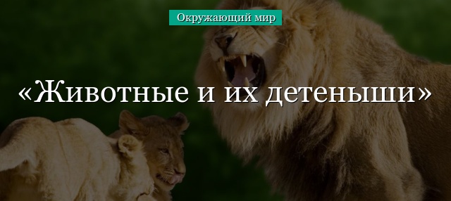 Животные и их детеныши – как называются дети животных кратко (окружающий мир)