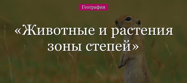 Животные и растения зоны степей России