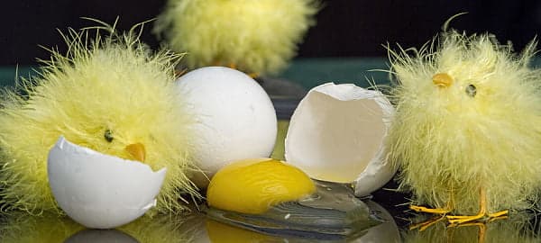 «ЖЁлтый» или «жОлтый», как правильно пишется слово?