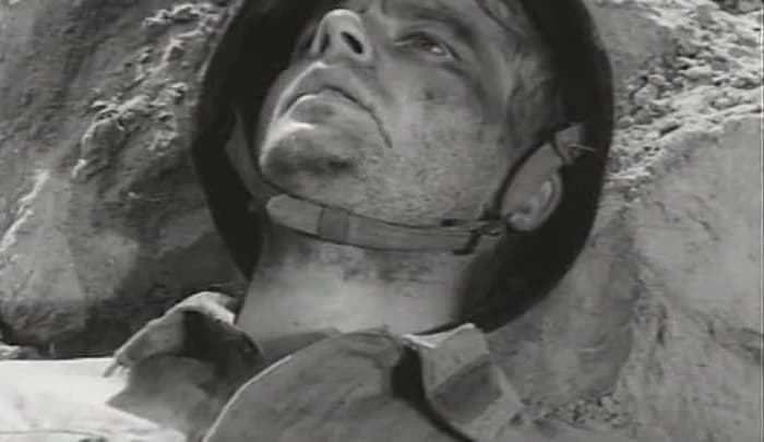 &laquo;Журавлиный крик&raquo; &mdash; краткое содержание повести Василя Быкова