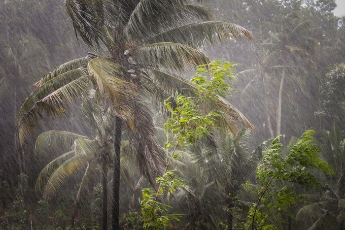 Значение воды в природе и жизни человека кратко и по пунктам, 3-4 класс