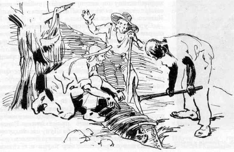 &laquo;Золотой жук&raquo; &mdash; краткое содержание рассказа Эдгара Алана По