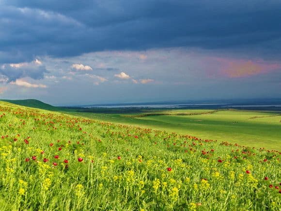 Зона степей (4 класс, окружающий мир)