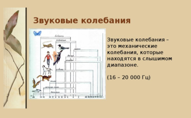 Звуковые колебания – верхняя граница, характеристика